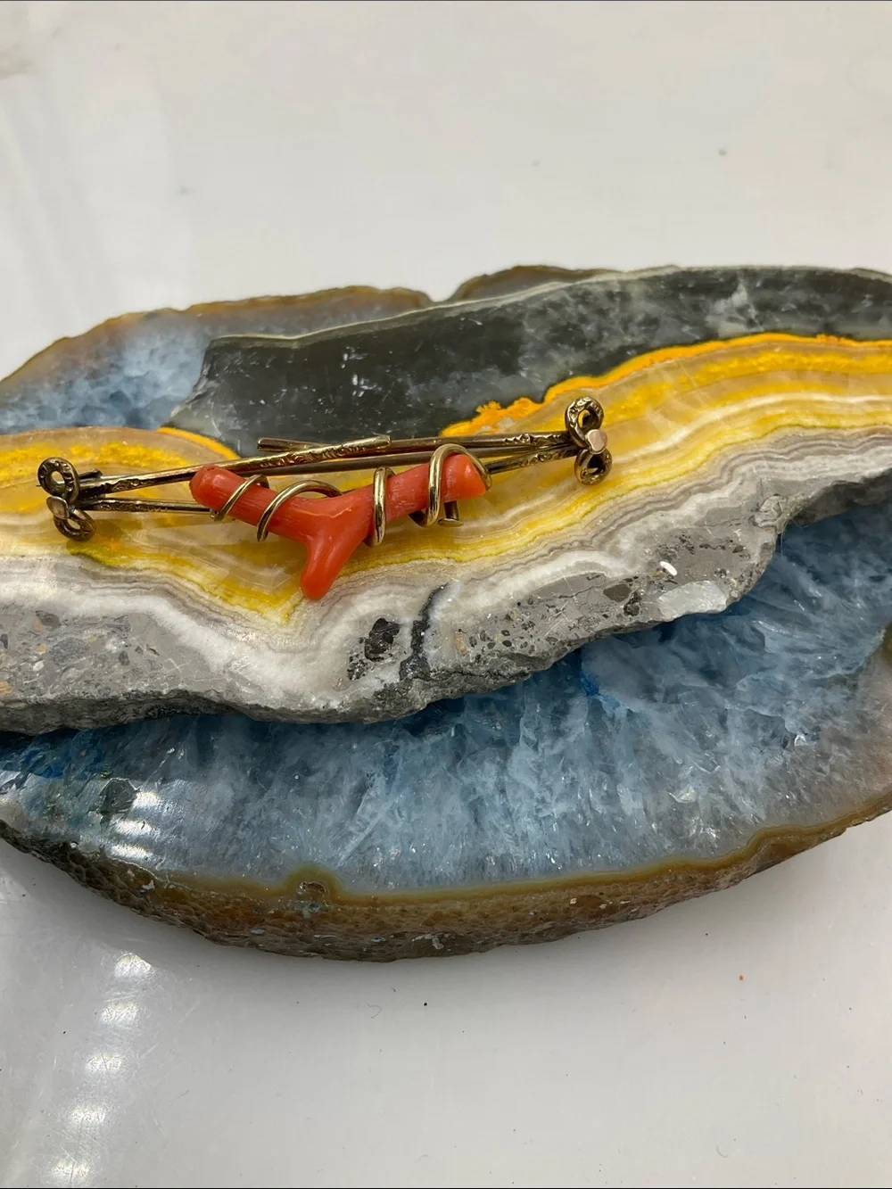 Vtg. 1880’s Victorian Red Branch Coral Affixed To A Gold Filled Ornate Brooch